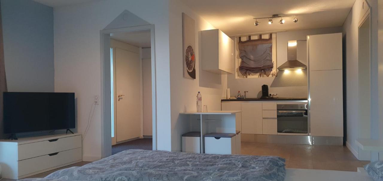 Ferienwohnung Am Bodensee Mit Seesicht Und Wellness Роршахерберг Экстерьер фото